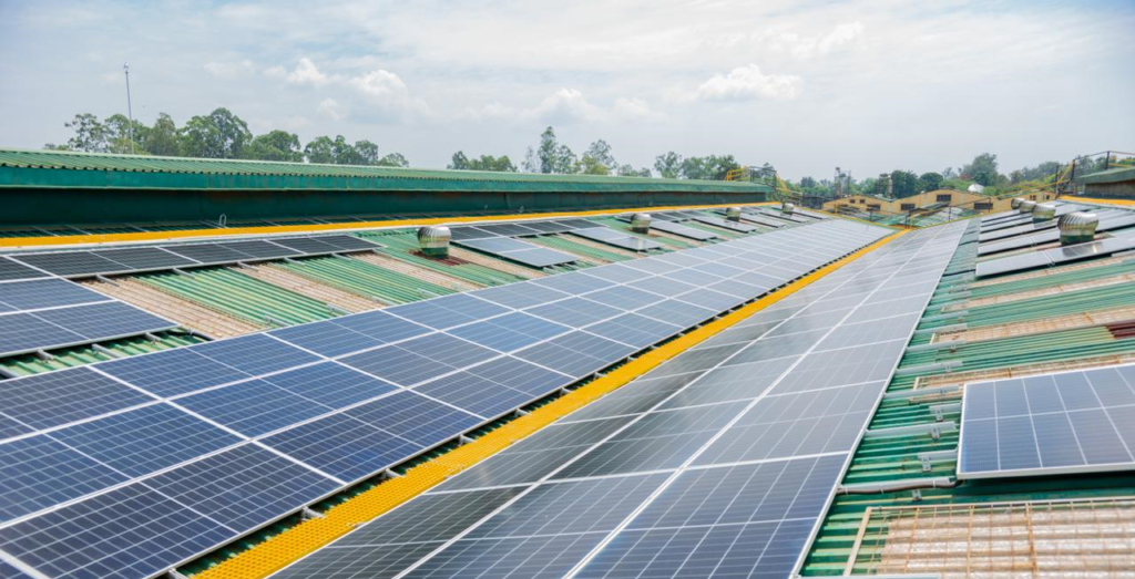 807kW solar power plant