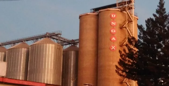 Stunning Surge as Unga Group's Interim Profit Spikes by 537% on Lower Finance Costs