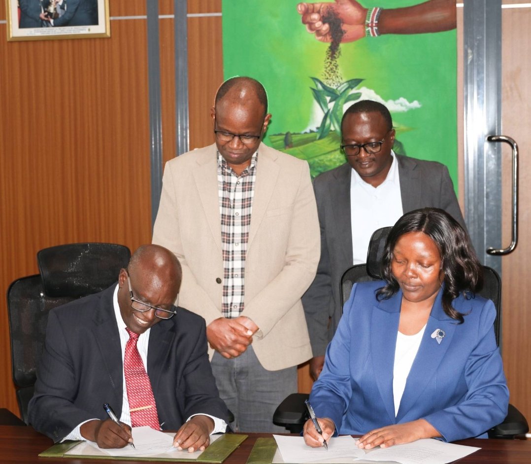 Tea Sector Poised for Major Policy Reforms Under KTDA and KIPPRA Partnership