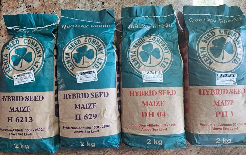 Kenya sets new maize seed prices under subsidy to boost food security