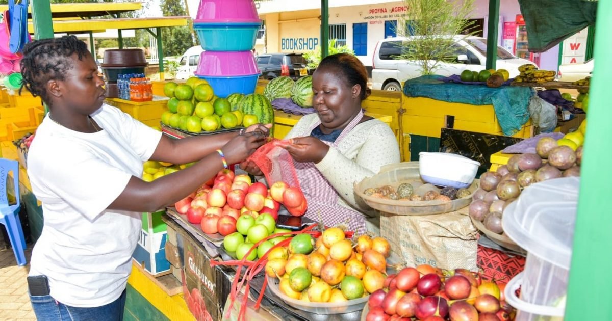 Major Boost: IFC Sh6.7bn Fund Sparks Hope for Kenya’s Struggling Small Businesses