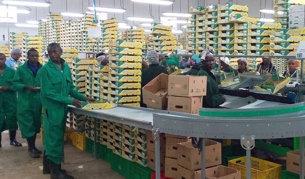 ARISE IIP Kenya investment of over $3 billion targets industrial parks