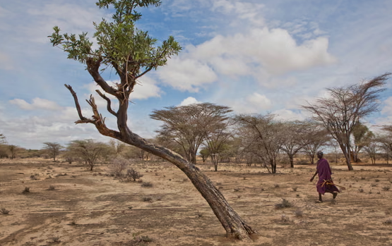 Alarming Debt and Drought Risks Rattle Kenya’s Fragile Growth Outlook.
