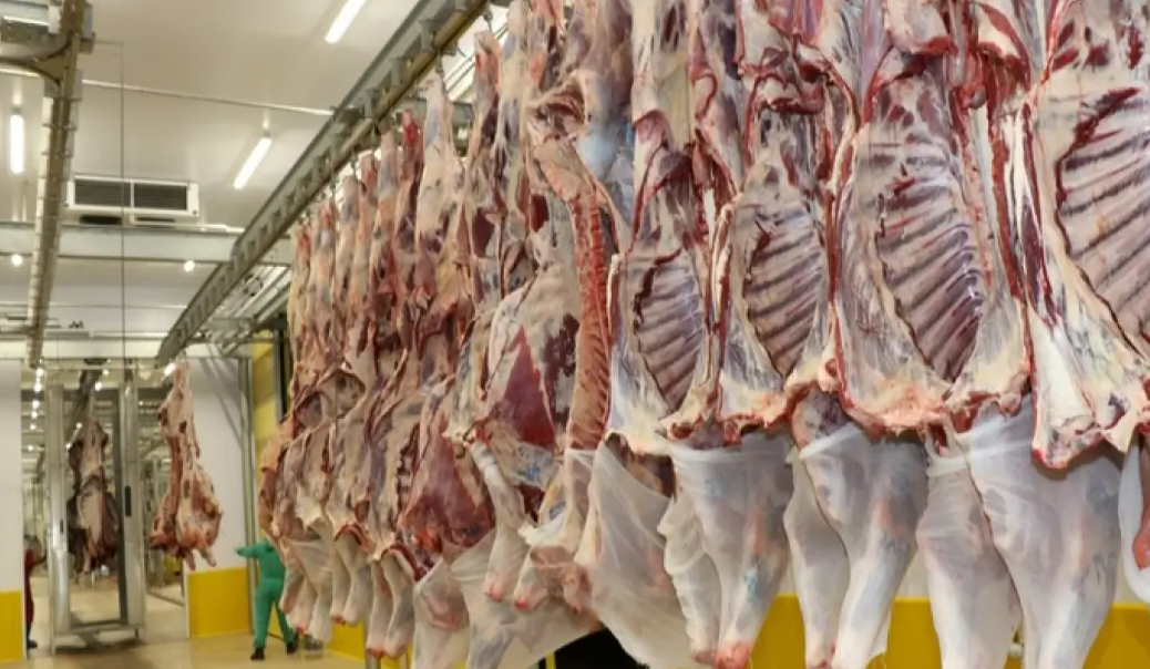 Kenya Meat Exports Plunge as Cargo Flights to Gulf Region Collapse