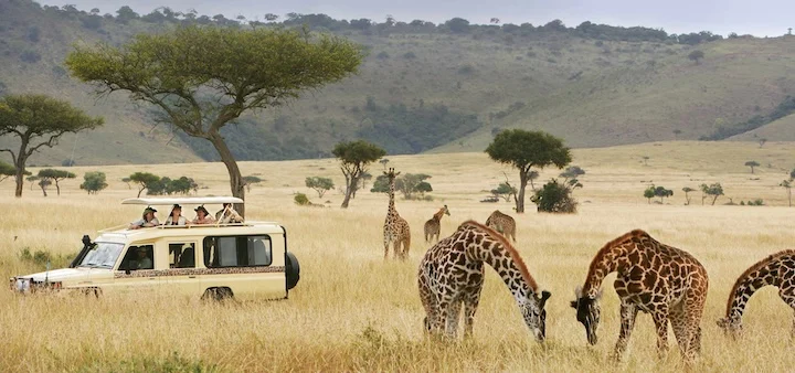 Kenya tourism investment is surging as a booming tourism sector attracts Sh258 billion in foreign capital