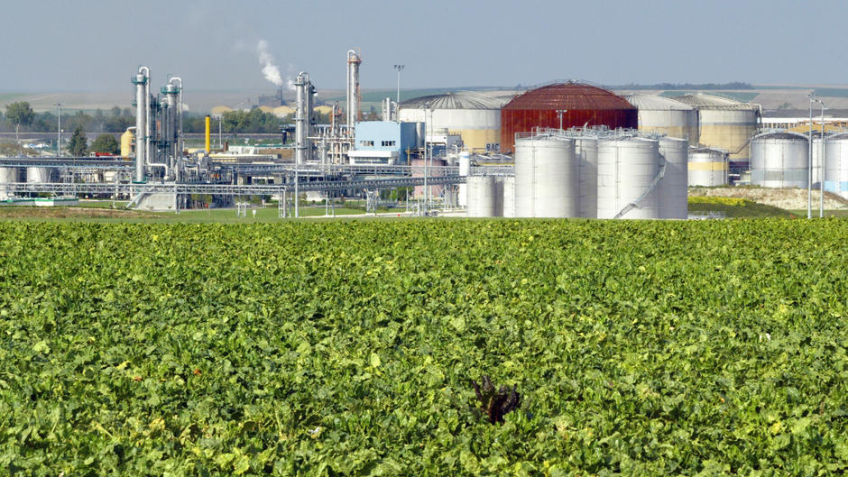 Vegetable Oils and Biofuels Race Reshapes Food Prices and Energy Markets