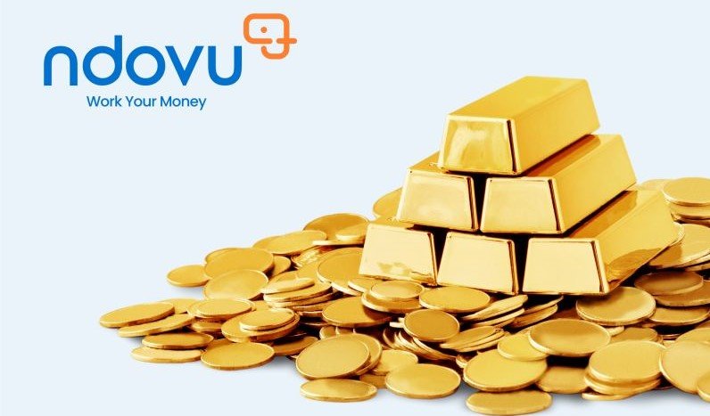 Kenya Investment Boom: Ndovu Unveils Multi-Asset Fund