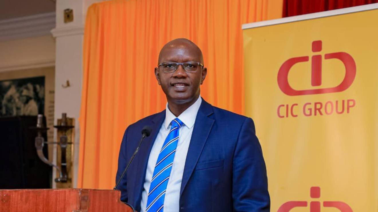 CIC Profit Slumps 82% Despite Revenue Growth