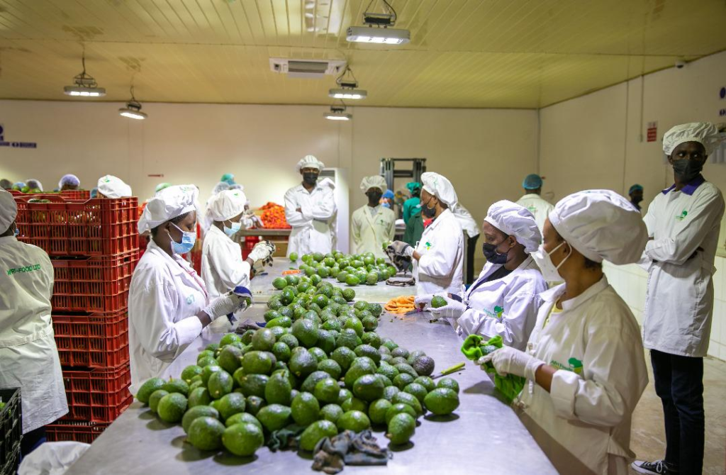 Kenya China Zero Tariff Exports Deal Intensify Competition and Strategic Positioning