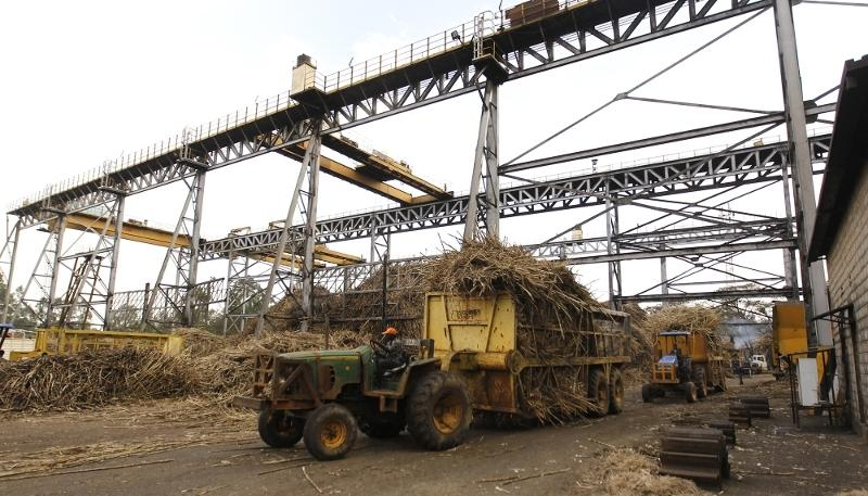 Sugar imports in Kenya expose the bigger productivity challenge
