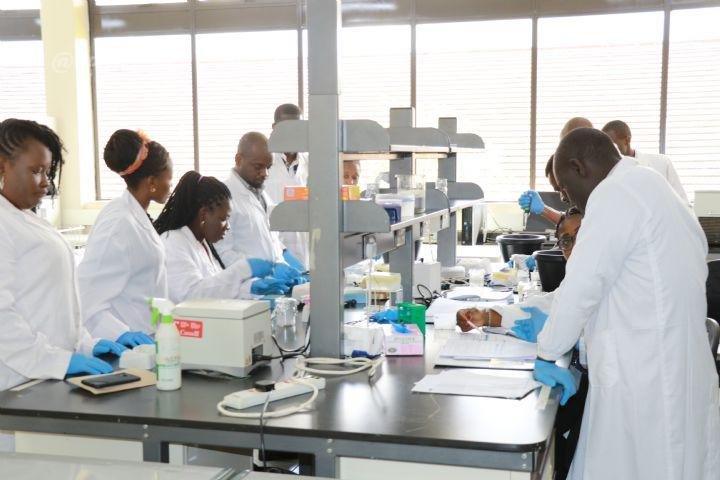 Research commercialisation needs a stronger path from laboratory to market
