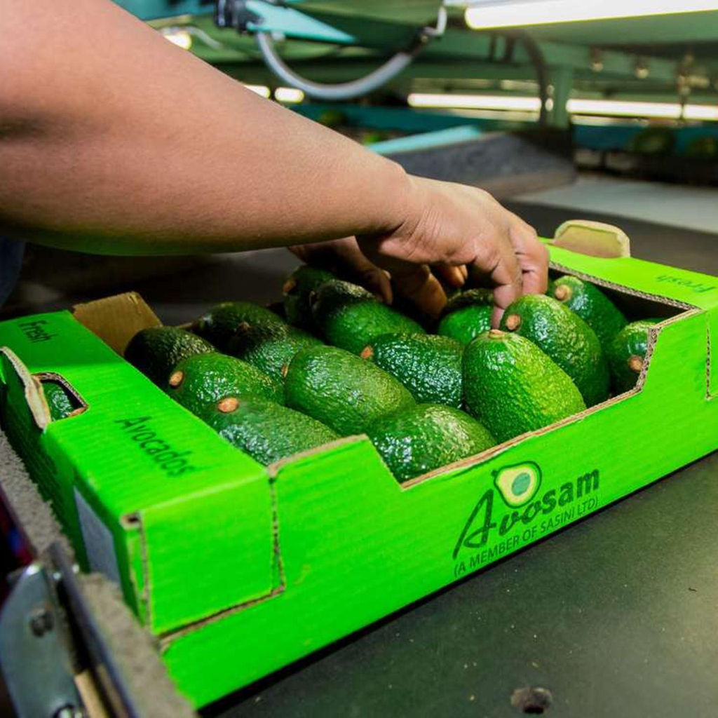 Kenya exports to Germany need more processing and stronger brands