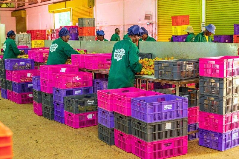 Indigenous fruits in Kenya could strengthen rural industries and exports
